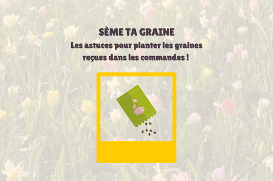 Les astuces pour planter les graines reçues dans les commandes !