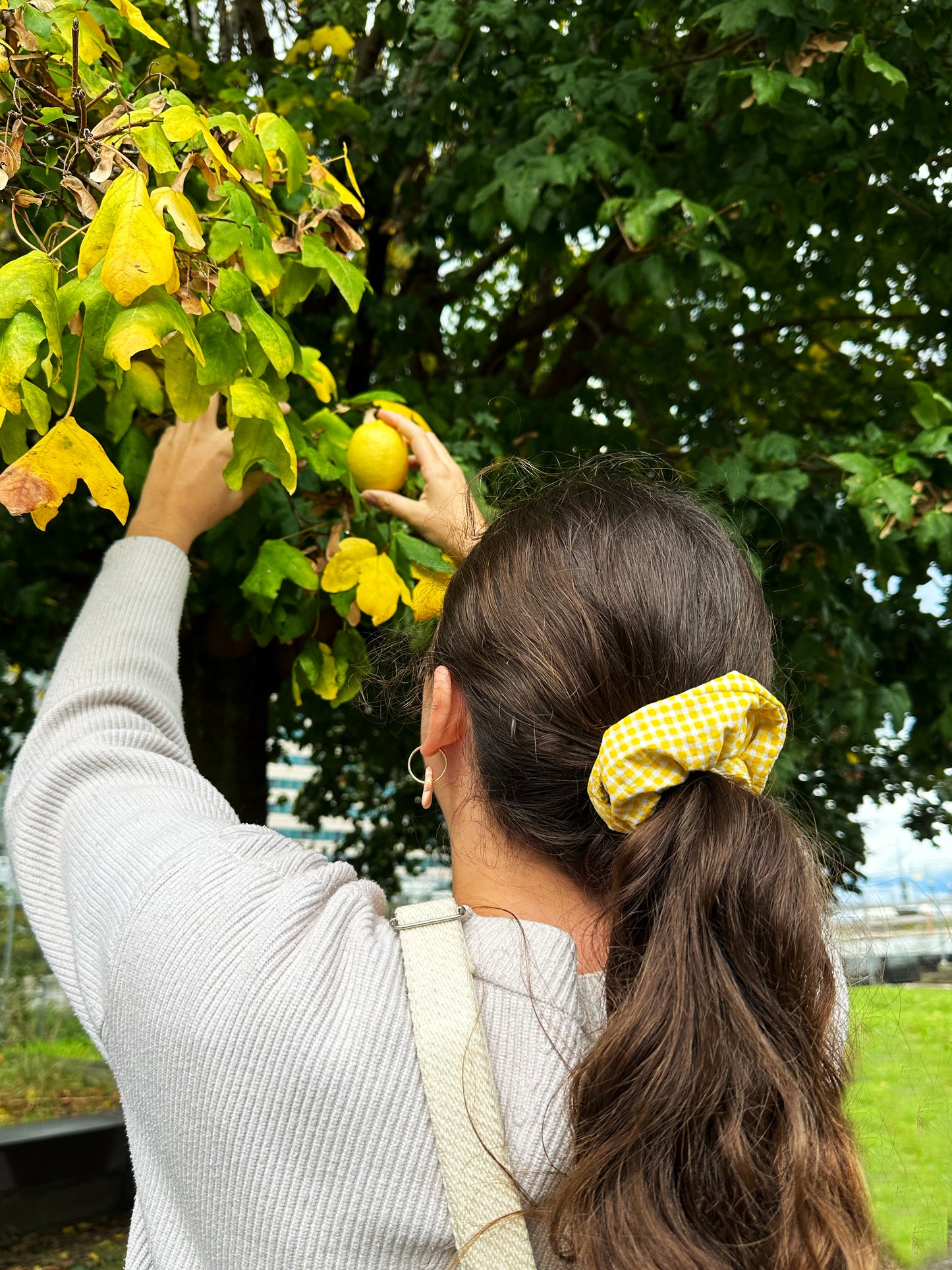 chouchou Binette upcyclé vichy jaune citron unisexe collection binette ecoresponsable et éthique fabriqué à partir de chutes de tissus voués à être jetés ou brûlés revalorisés par Binette marque française écoresponsable qui fabrique des sacs banane et accessoires upcyclés écoresponsable pour femme et homme idées cadeaux noel hiver et accessoires pratiques, tendances, jolis, avec un faible impact environnemental