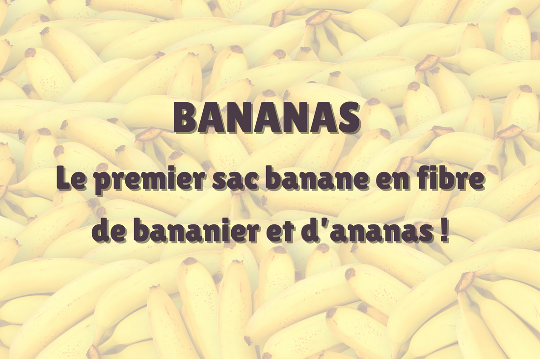 Le Sac Banane : un voyage à travers le temps ! – Binette