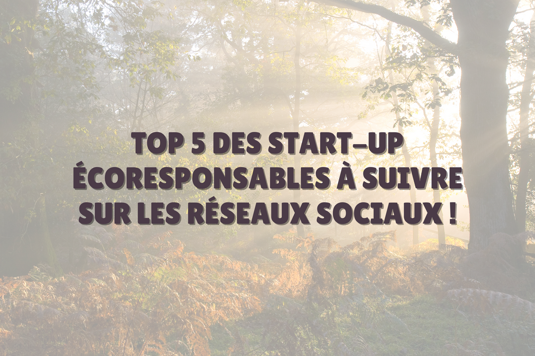 Top 5 des start-up écoresponsable à suivre sur les réseaux sociaux en 2024 : Binette, Mollow, Trus stories, Messir ouistiti, Malti